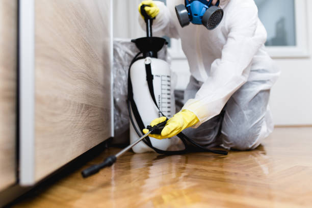Best Wasp Removal Services  in Bridgetown, OH