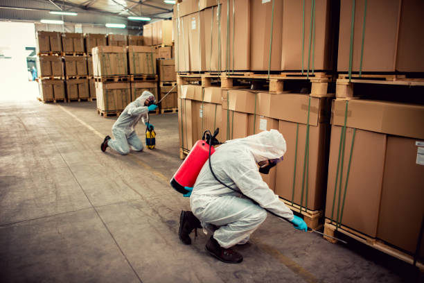Best Pest Inspection Near Me  in Bridgetown, OH