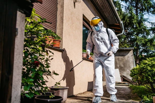 Best Pest Control for Businesses  in Bridgetown, OH