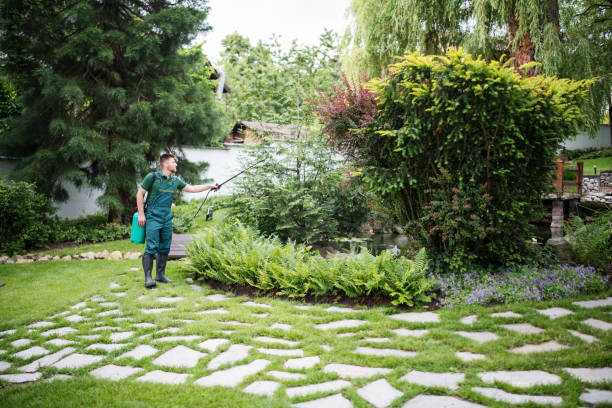 Best Affordable Pest Control Services  in Bridgetown, OH