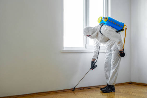 Best Commercial Pest Control Services  in Bridgetown, OH