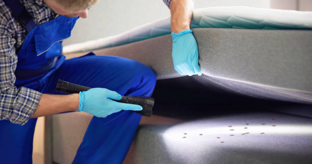 Pest Prevention Services in Bridgetown, OH