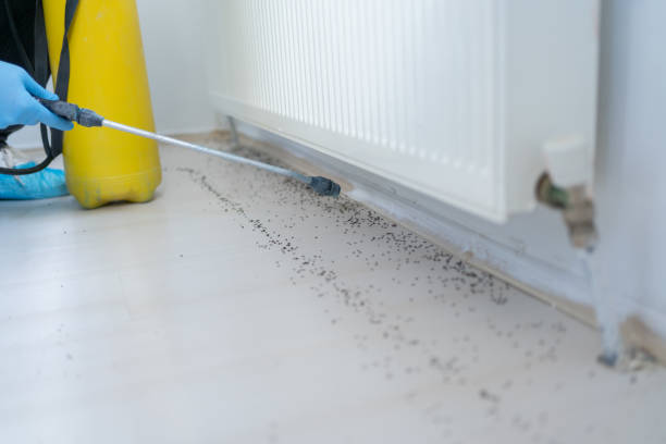 Best Mosquito Control Services  in Bridgetown, OH