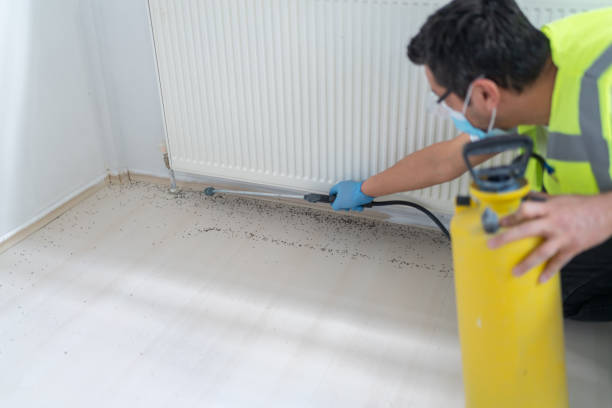 Pest Control Cost in Bridgetown, OH